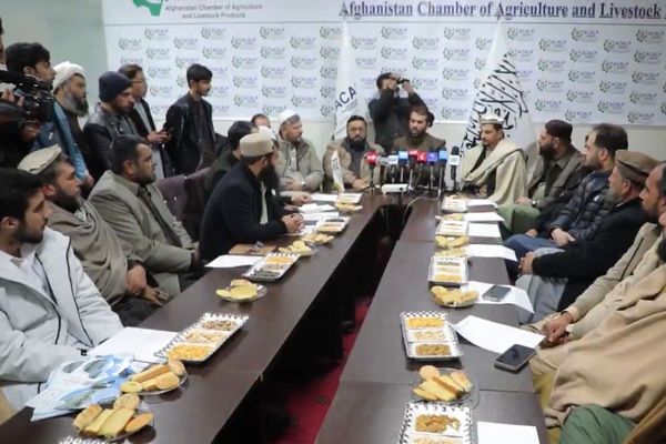 د کرنې او مالدارۍ خونه: په روان کال کې ۱۵۰ سړې خونې جوړې شوې دي