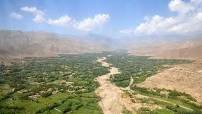 د پکتيا ولايت په ځاځي اريوب ولسوالۍ کې لېوه درېیو تنو ته مرګ ژوبله اړولې