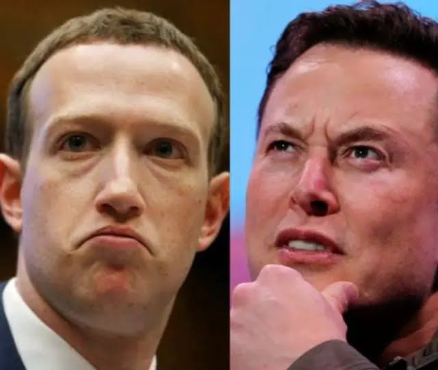 ایلان ماسک می‌گوید مبارزه تن‌به‌تن او با زاکربرگ به طور زنده در توییتر نشر خواهد شد