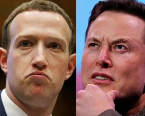 ایلان ماسک میگوید مبارزه تنبهتن او با زاکربرگ به طور زنده در توییتر نشر خواهد شد
