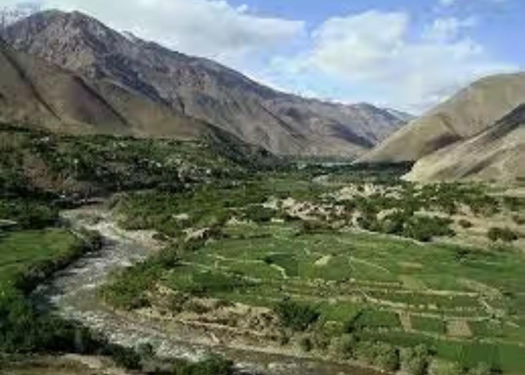  ازادۍ جبهې د بدخشان په زیباک کې له طالبانو سره د نښتې خبر ورکړی 