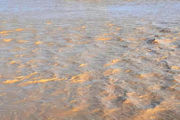 په هلمند کې د سېلابونو له امله یو ماشوم مړ او یو بل کس ټپي شوی دی