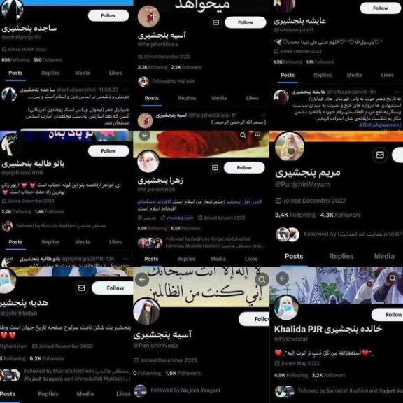 د انټرنېټ له بندېدو سره په خواله رسنیو کې د طالبانو جعلي حسابونه هم له کاره لوېدلي دي