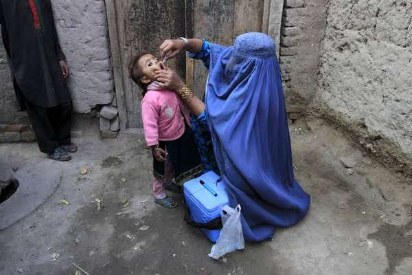 نن د افغانستان په ۱۷ولایتونو کې د ګوزڼ ضد واکسینو کمپاین پیلېږي