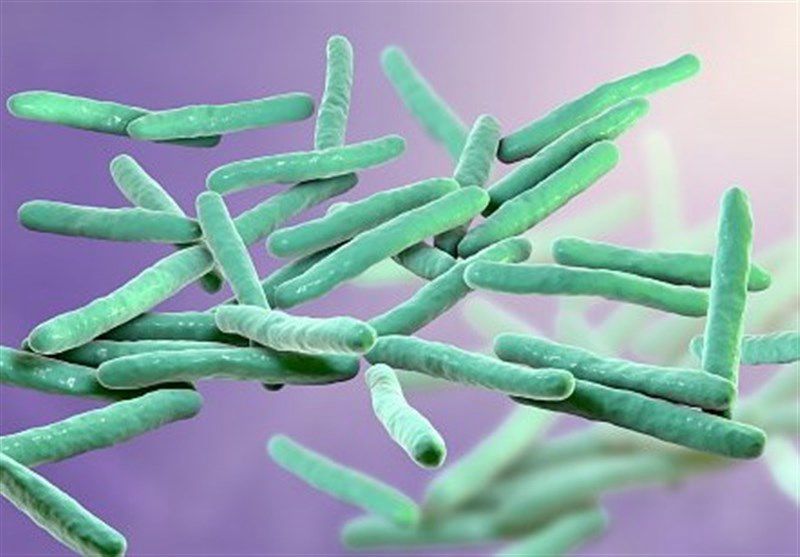 استفاده از شایعه جذام برای دامن زدن به مهاجرهراسی در ایران