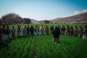 سازمان ملل: در سال جاری میلادی به ۲۰ هزار افغان آموزشهای کشاورزی ارائه شد