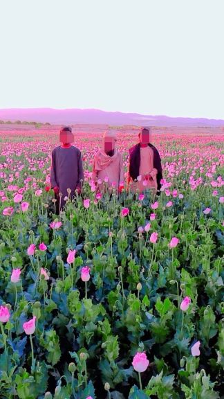 د هلمند د موسی کلا په ګډون د افغانستان په ګڼو ولایتونو کې له ممانعت سره سره تاریاک کرل شوي