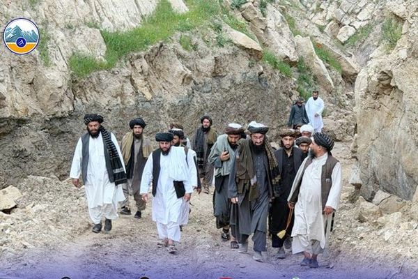 طالبان: کانونه باید په مسلکي ډول وکېندل شي څو عواید زیات شي