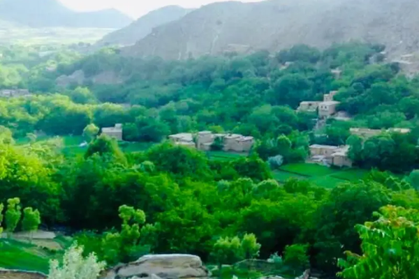 AFF Claims Attack on Taliban Outpost in Kapisa, Reports Two Fatalities