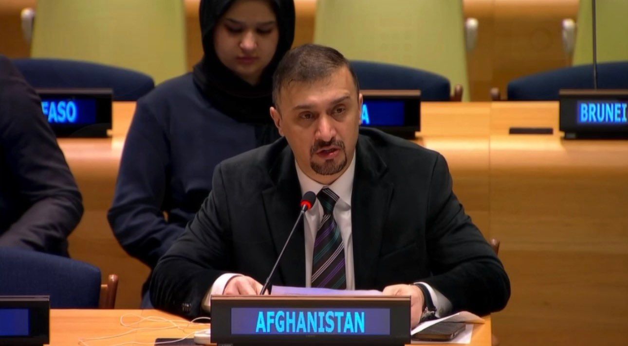 نصیر احمد فایق له ملګرو ملتونو وغوښتل چې په افغانستان کې "جنسیتي اپارټایډ" په رسمیت وپېژني