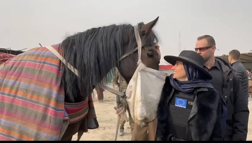 دیپلومات اروپایی با جلیقه زرهی به تماشای بزکشی رفت