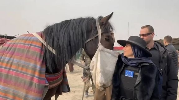 دیپلومات اروپایی با جلیقه زرهی به تماشای بزکشی رفت