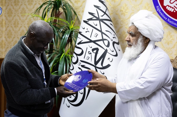 له پېښو سره د طالبانو د مبارزې ادارې مشر: موسسات باید خلکو ته بنسټیز کارونه وکړي