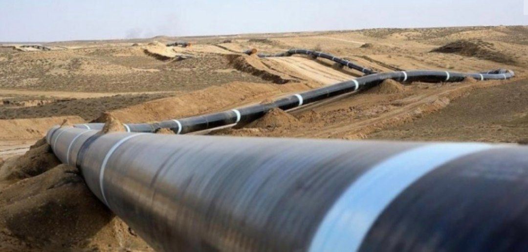 طالبان وايي د ټاپي پروژې د شپږ کیلومتره نللیکې غځول بشپړ شوي