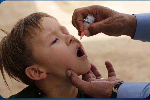 د کابل په ګډون په یو شمېر ولایتونو کې د ګوزڼ ضد واکسین کمپاین پیل شوی