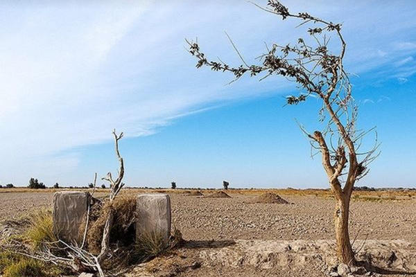 Taliban Should Help Revive Hamun Lake & Prevent Humanitarian Disaster: Iranian Official