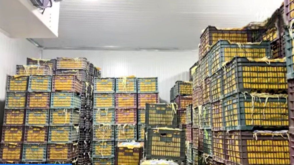 هلمند کې په لومړي ځل د ۵۰ مېلیونه افغانیو په ارزښت سړه خونه جوړه شوه