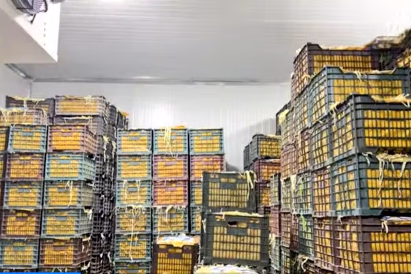 هلمند کې په لومړي ځل د ۵۰ مېلیونه افغانیو په ارزښت سړه خونه جوړه شوه