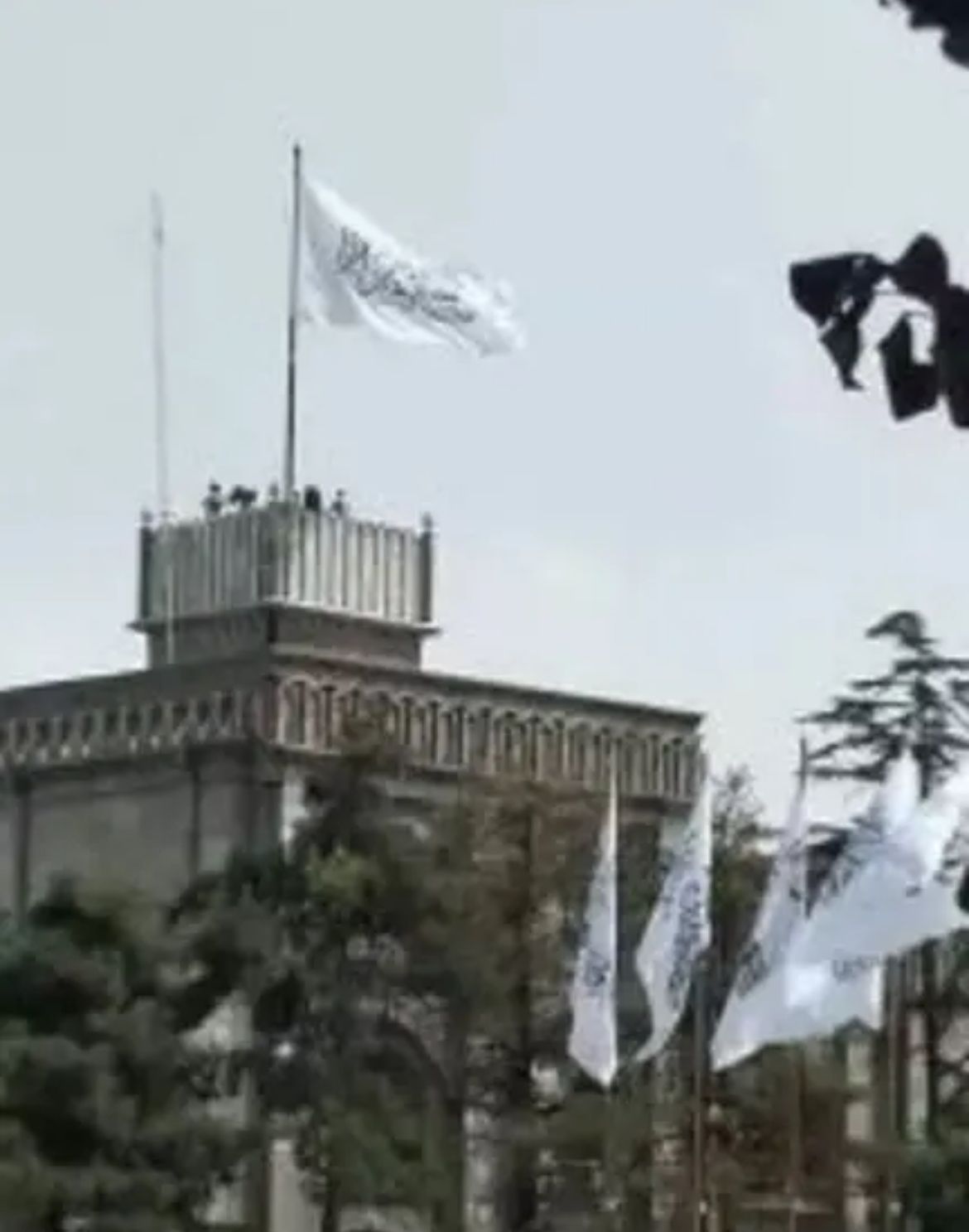 Shock To Afghan Economy: Taliban Stops Payment To Govt Employees & Supply Procurement