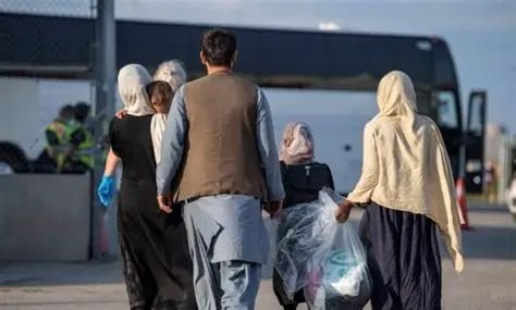 ‌د کانګرس غړو امریکا ته د پخوانیو افغان همکارانو د لېږدولو لپاره نوې لایحه وړاندې کړه