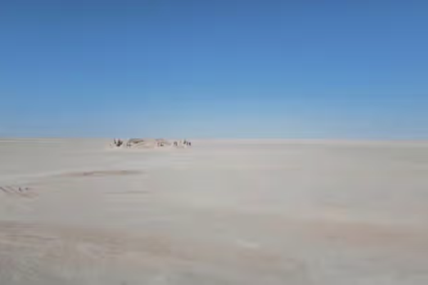 نقل جثامين 14 مهاجرًا أفغانيًا لقوا حتفهم في صحراء نيمروز إلى بادغيس