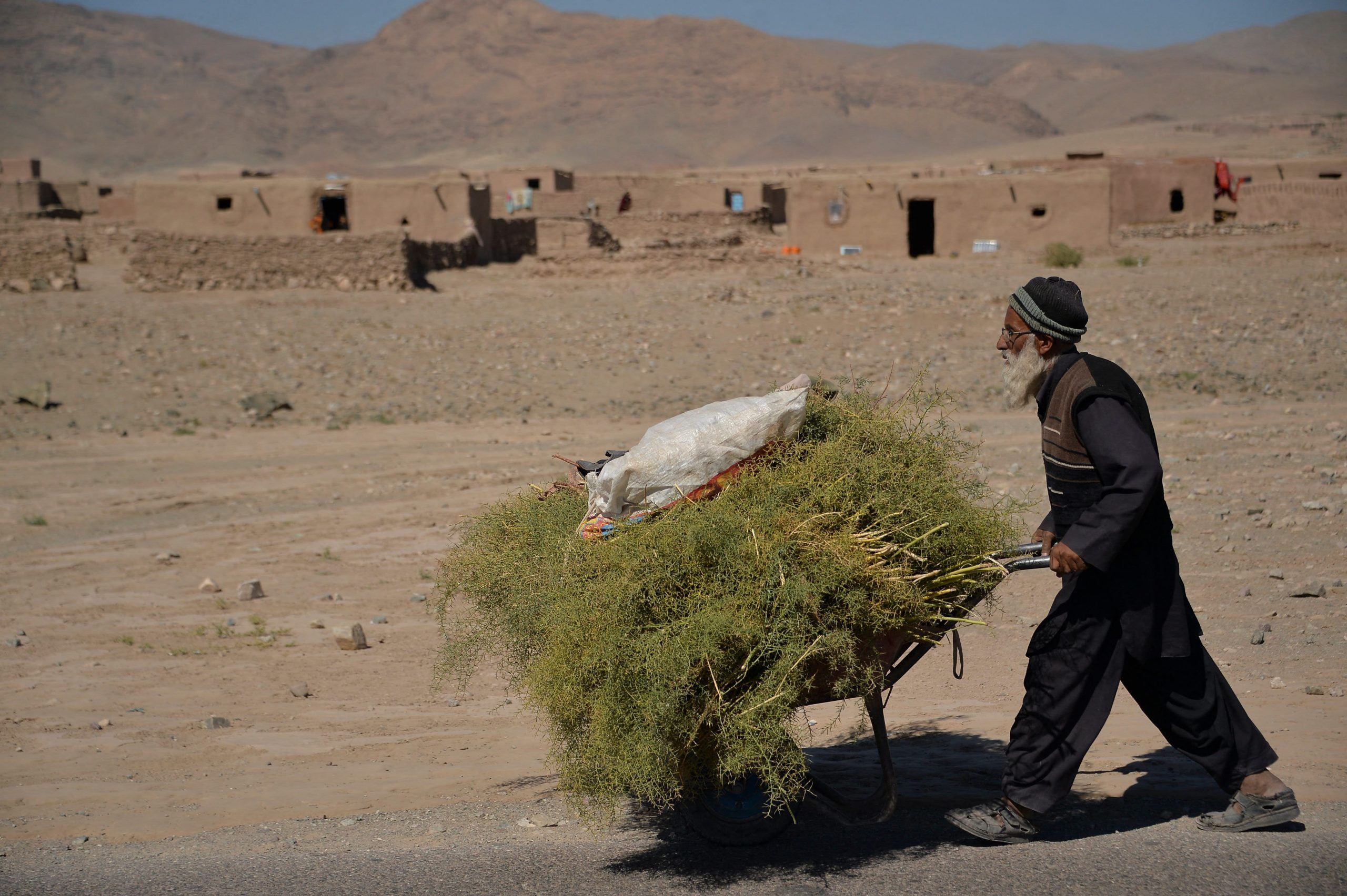 چین و پاکستان خواهان کمک فوری جامعه بین‌المللی به افغانستان شدند