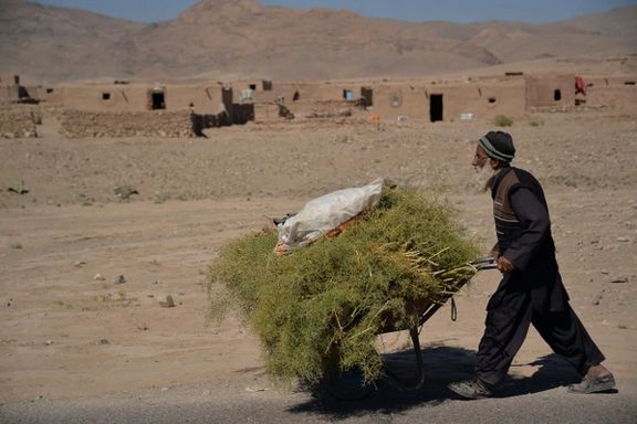 چین و پاکستان خواهان کمک فوری جامعه بینالمللی به افغانستان شدند
