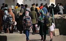 د ایران د کډوالو ملي اداره: د کډوالو د تنظیم لپاره تر ۴۰ ډیر پلانونه پلي کیږي