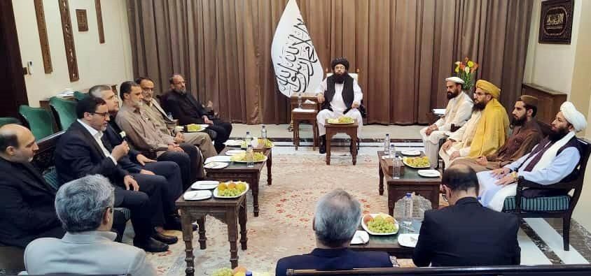 هیئت جمهوری اسلامی: مبارزه طالبان با موادمخدر "بر ایران هم تاثیر مثبت" گذاشته است