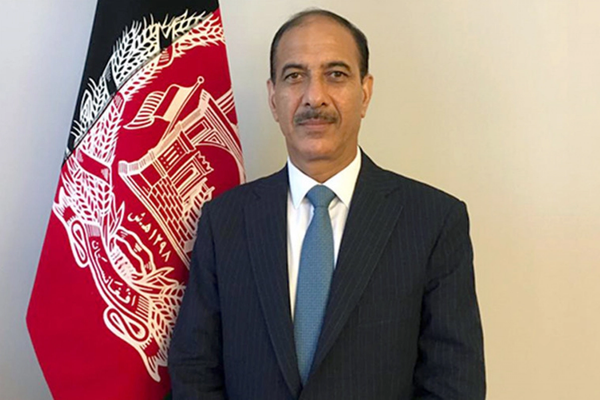 نجیب الله علي خېل: د افغانستان د ناورین د حل یوازینۍ لاره ملي یووالی او متوازن سیاست دی