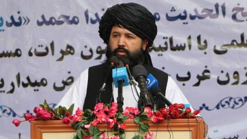 وزير التعليم العالي في طالبان: المناهج الدراسية باتت مطابقة للثقافة الإسلامية والأفغانية