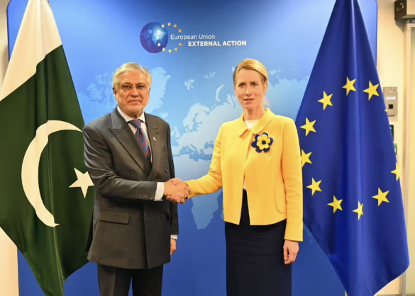 باكستان والاتحاد الأوروبي يطالبان ببدء العملية السياسية في أفغانستان