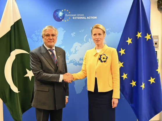 باكستان والاتحاد الأوروبي يطالبان ببدء العملية السياسية في أفغانستان