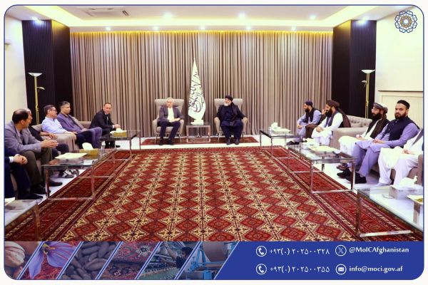 Kazakh Economic Delegation Arrives In Kabul