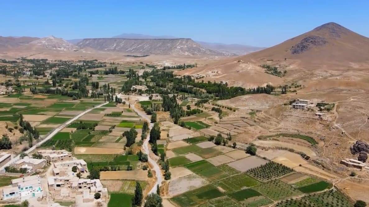 جبهه متحد می‌گوید یک عضو استخبارات طالبان را در غزنی کشته است