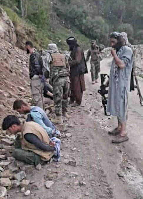 منابع محلی: طالبان خانواده‌ها را شکنجه می‌کنند تا اعضای جبهه مقاومت تسلیم شوند