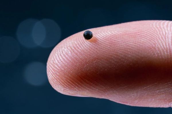 سویسي ساینسپوهانو د شګې په اندازه داسې روباټ جوړ کړی چې کولای شي درمل تر ټاکلي ځای ورسوي