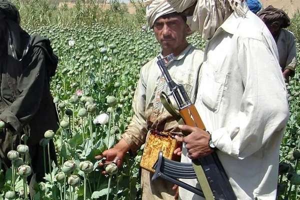 درگیری طالبان و دهقانان بر سر تخریب مزارع خشخاش در ولسوالی جرم بدخشان