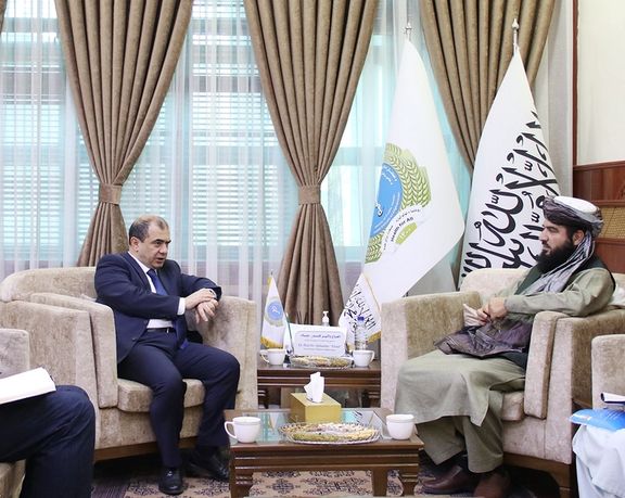 طالبانو د افغان روغتیايي کارکوونکو د وړتیا لوړونې لپاره له اذاربایجانه د مرستې غوښتنه وکړه