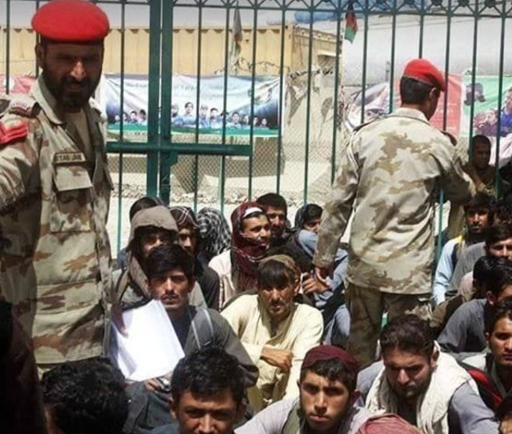 Nearly 250 Afghan Refugees Arrested In 2 Cities of Pakistan, Says Taliban