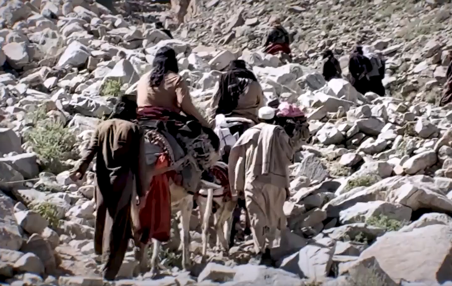 ټي‌ټي‌پي وایي په ۲۰۲۵ کال کې یې له ۳۸۰۰ ډېر پاکستاني پوځیان وژلي