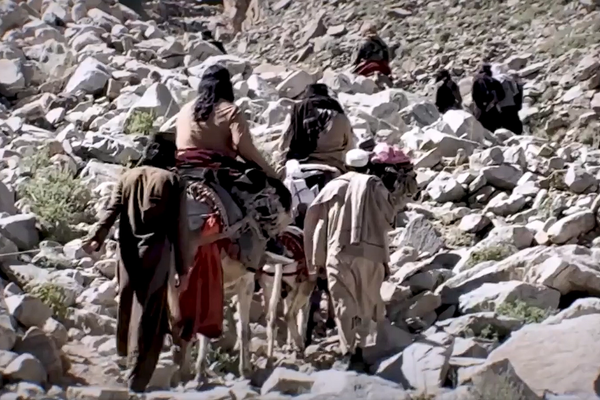 ټيټيپي وایي په ۲۰۲۵ کال کې یې له ۳۸۰۰ ډېر پاکستاني پوځیان وژلي