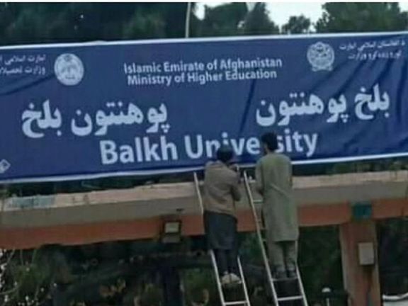 شهرزاد اکبر: مردم هر روز قربانی گرسنگی میشوند، اما اولویت طالبان "تبعیض زبانی" است