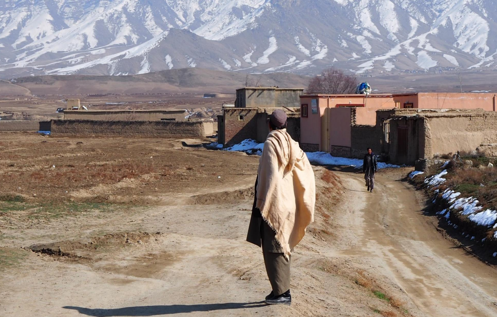پژوهش: بیش از نیمی از بازگشت‌کنندگان در نیمه اول سال گذشته به غذای کافی دسترسی نداشتند 