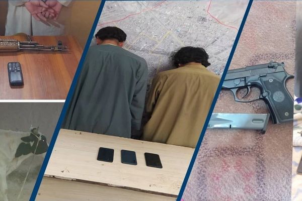 طالبانو په تېرو ۲۴ ساعتونو کې په بېلابېلو جنايي پېښو کې ښکیل ۲۸ تنه نیولي