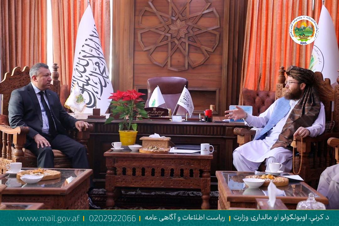 وزیر زراعت طالبان خواستار همکاری ترکمنستان در «کارزار مبارزه علیه ملخ‌» شد