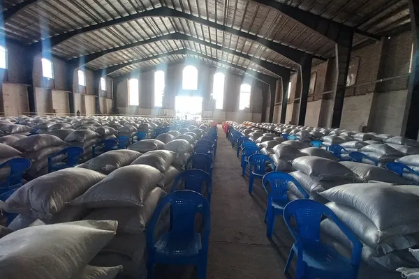 طالبانو په هرات کې پر ۱۲۰۰ تازه راستنو شویو کورنیو نغدي او خوراکي مرستې وېشلي