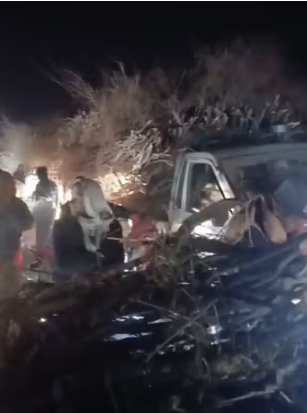 قطع واسع للغابات في تخار… السكان يتهمون طالبان