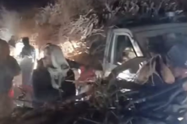 قطع واسع للغابات في تخار… السكان يتهمون طالبان