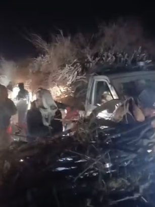 قطع واسع للغابات في تخار… السكان يتهمون طالبان